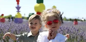 Karatay'da Lavanta Festivali Coşkuyla Kutlandı