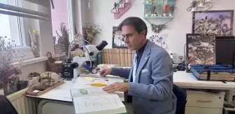 Yeni Keşfedilen Bitki Türü: Konya Sümbülü