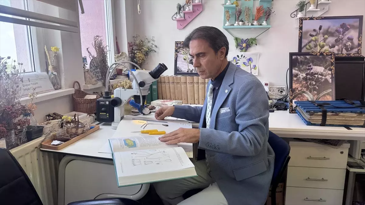 Yeni Keşfedilen Bitki Türü: Konya Sümbülü
