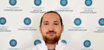 NEÜ'den Kemik Onarımında Devrim Niteliğinde Proje