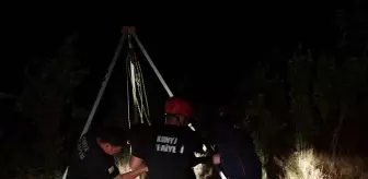 Su kuyusuna düşen koyun itfaiye ekiplerince kurtarıldı