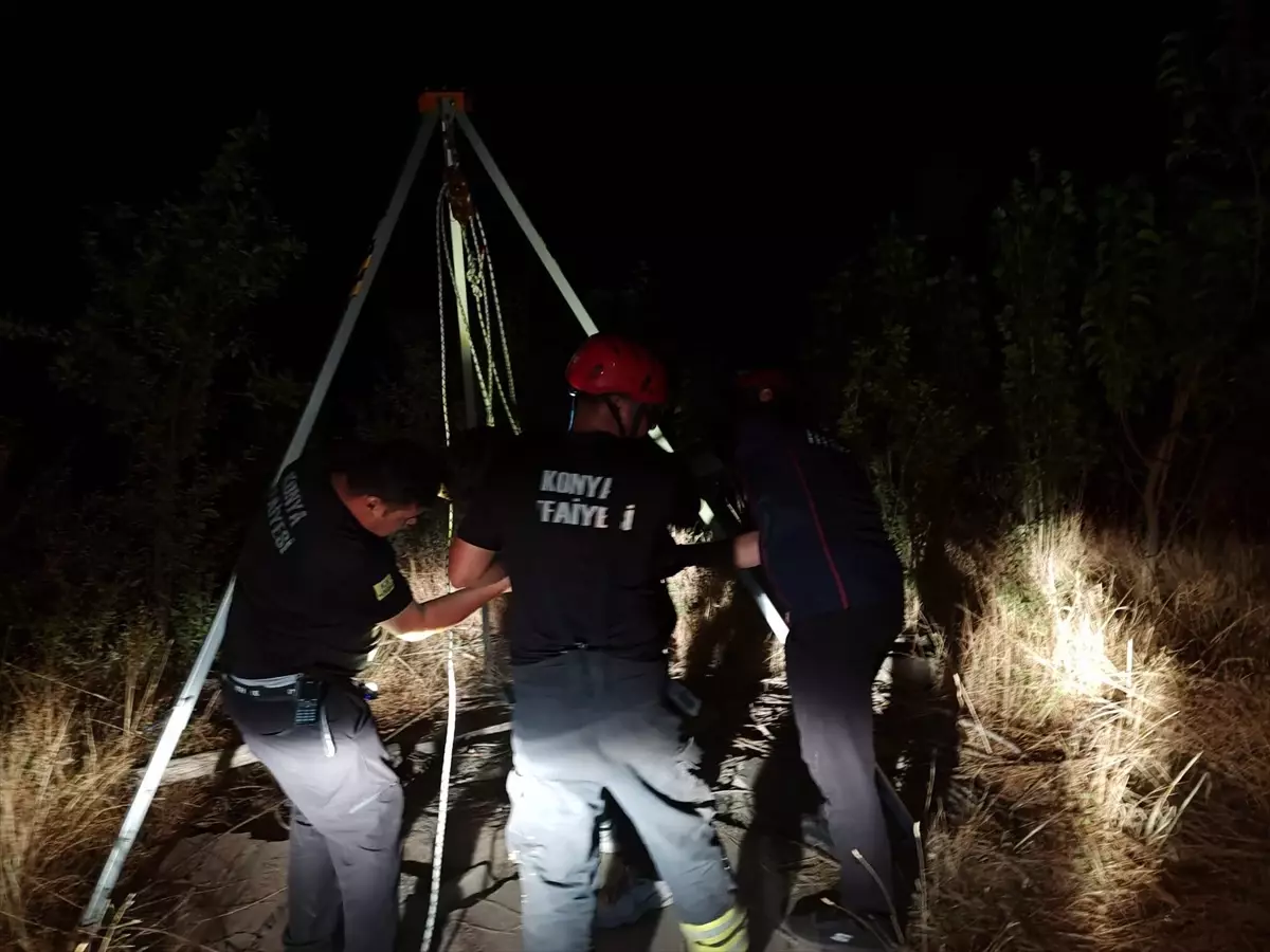 Su kuyusuna düşen koyun itfaiye ekiplerince kurtarıldı
