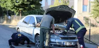 Köpeklerden Kaçan Su Samuru, Otomobilin Kaputuna Sığındı