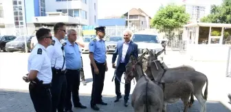 Kosovalı Aktivist, Siyasi Parti Protestosu İçin Eşek Getirdi