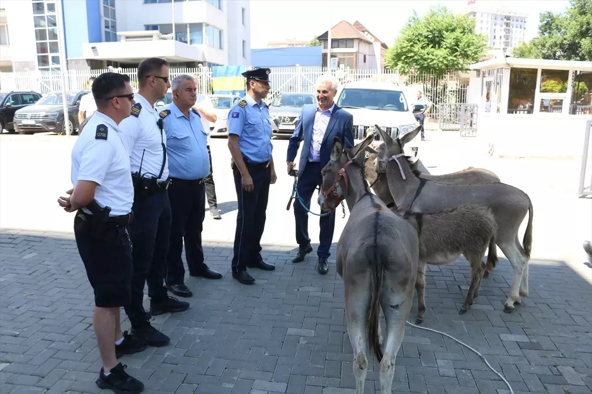 Kosovalı Aktivist, Siyasi Parti Protestosu İçin Eşek Getirdi