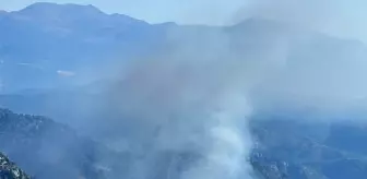 Köyceğiz'de Orman Yangınına Hava ve Karadan Müdahele