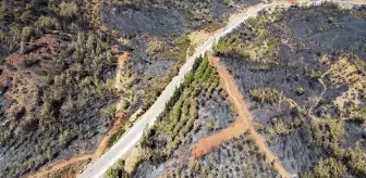 Muğla Köyceğiz'de Orman Yangını Havadan Görüntülendi