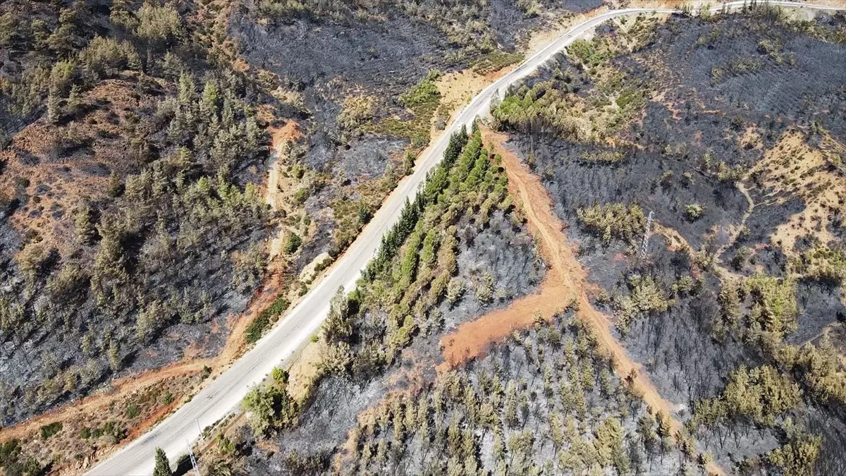 Muğla Köyceğiz'de Orman Yangını Havadan Görüntülendi