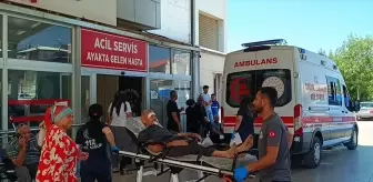 Kozan'da Ağaç Budarken Düşen Personel Hastaneye Kaldırıldı