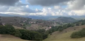 Kulakkaya Yaylası'nda Turizm Potansiyelini Artırmak İçin Yatırımlar Devam Ediyor