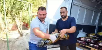 Zafer Kupası Takımı, Ödülünü Sokak Hayvanları İçin Bağışladı