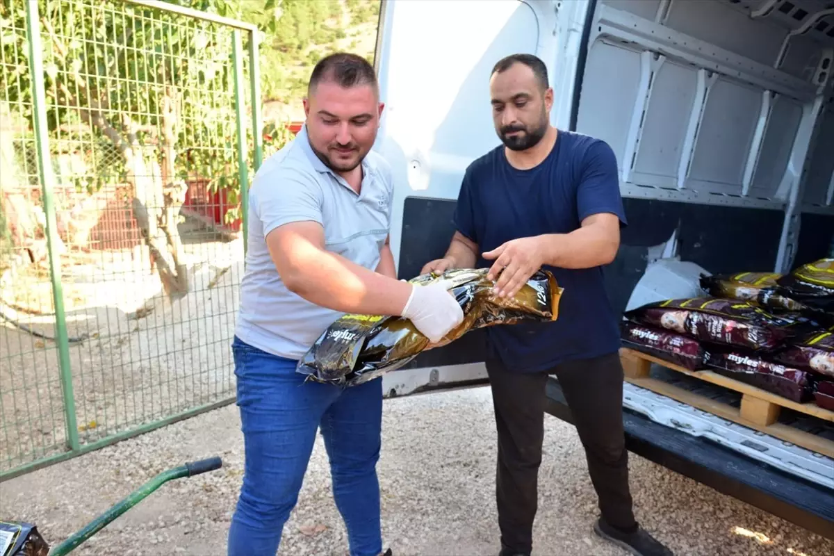Zafer Kupası Takımı, Ödülünü Sokak Hayvanları İçin Bağışladı