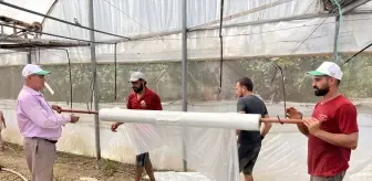 Kumluca'da Sera Temizlik Çalışmaları Başladı