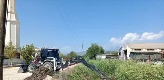 Antalya'da Sivrisinek Üremesini Önlemek İçin Temizlik ve İlaçlama Çalışması
