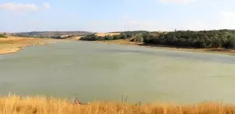 Kuraklığın Etkilerini Azaltmak İçin Gölet Sayısının Artırılması Gerekli