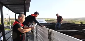 Kurban Bayramı İçin Veteriner Denetimleri 24 Saat Kesintisiz Devam Ediyor
