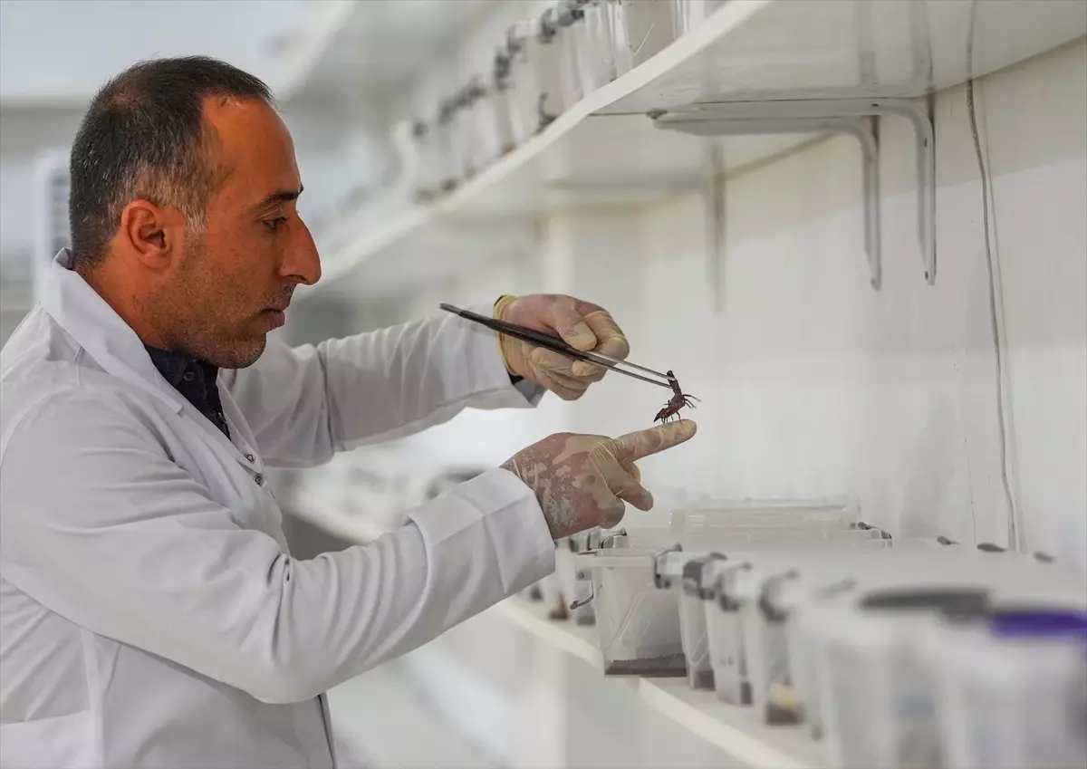 Diyarbakırlı Girişimcinin Akrep Üretim Tesisi ve İhracat Hedefleri