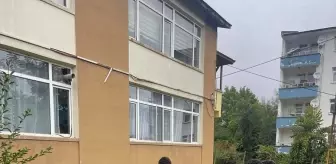 Küre Çok Programlı Anadolu Lisesi'nde Fidan Dikim Etkinliği Düzenlendi