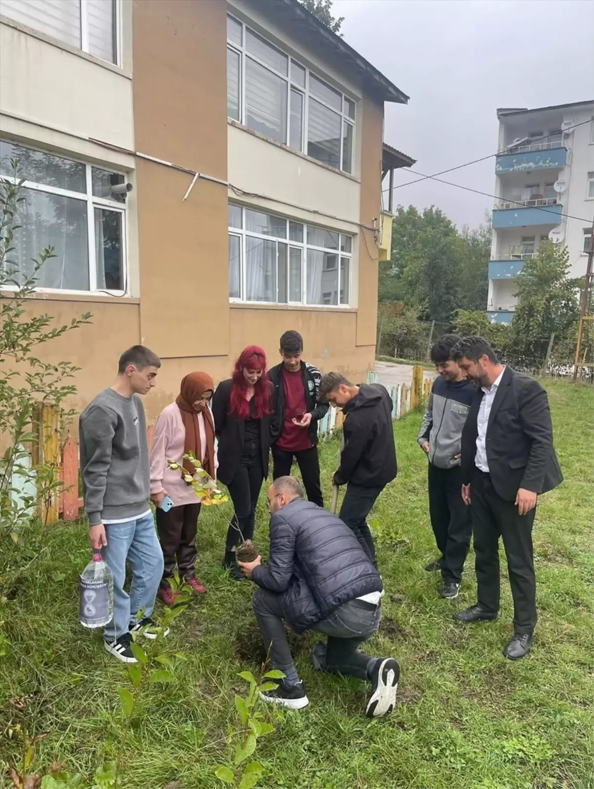 Küre Çok Programlı Anadolu Lisesi'nde Fidan Dikim Etkinliği Düzenlendi