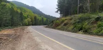 Kütahya'da Orman Yangınlarıyla Mücadelede Başarı