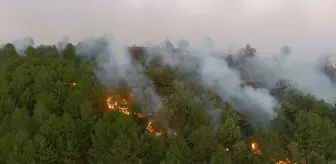 Kütahya'da Orman Yangını Kontrol Altına Alındı