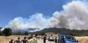 Kütahya'da Orman Yangınına Havadan ve Karadan Müdahale