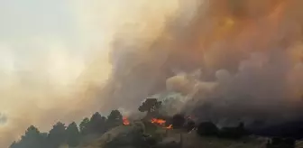 Dumlupınar'da Orman Yangınına Hava ve Karadan Müdahale