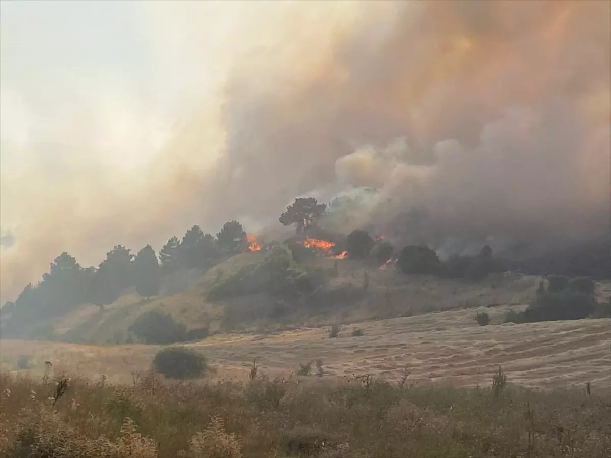 Dumlupınar'da Orman Yangınına Hava ve Karadan Müdahale