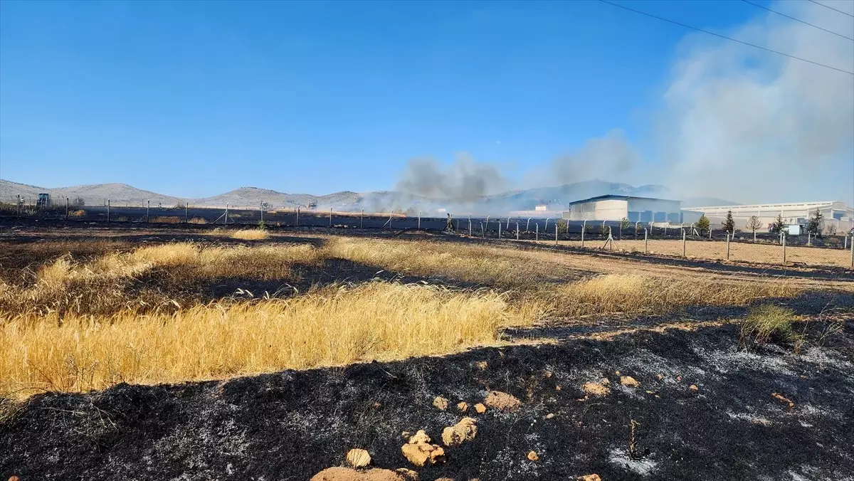 Kütahya'da Yangın: 800 Dekar Hububat Alanı Zarar Gördü