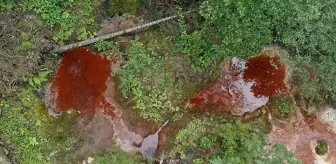 Giresun'daki Kuzalan Tabiat Parkı Ziyaretçilerini Büyülüyor