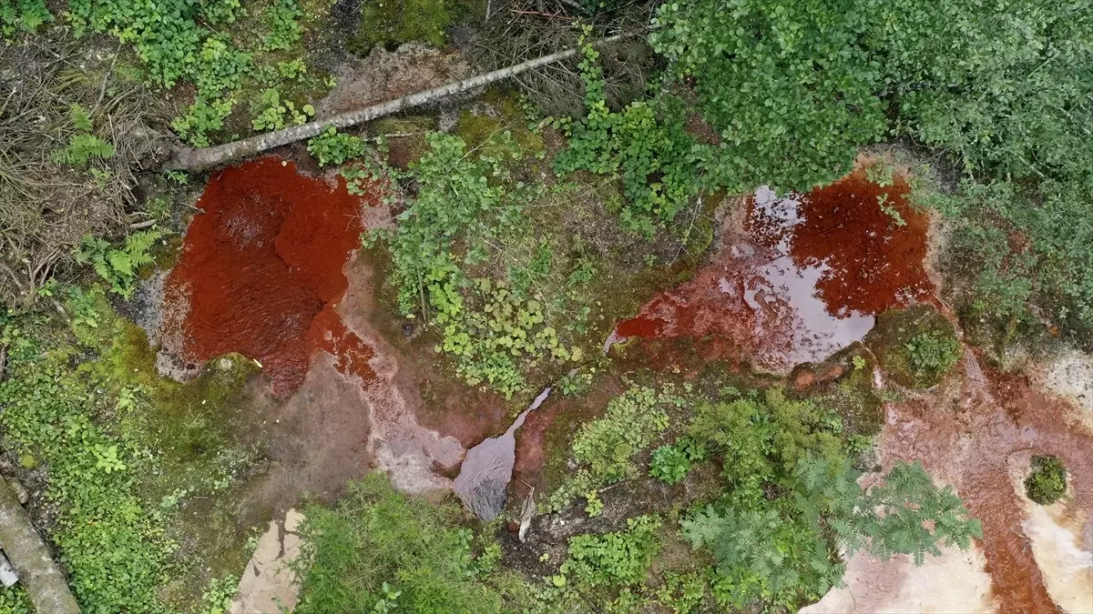Giresun'daki Kuzalan Tabiat Parkı Ziyaretçilerini Büyülüyor