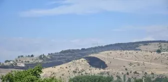 Kuzey Makedonya'da Yangın Kontrol Altına Alma Çalışmaları Devam Ediyor