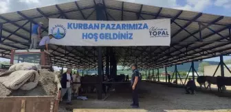 Samsun'da Kapalı Hayvan Pazarı Hizmete Girdi