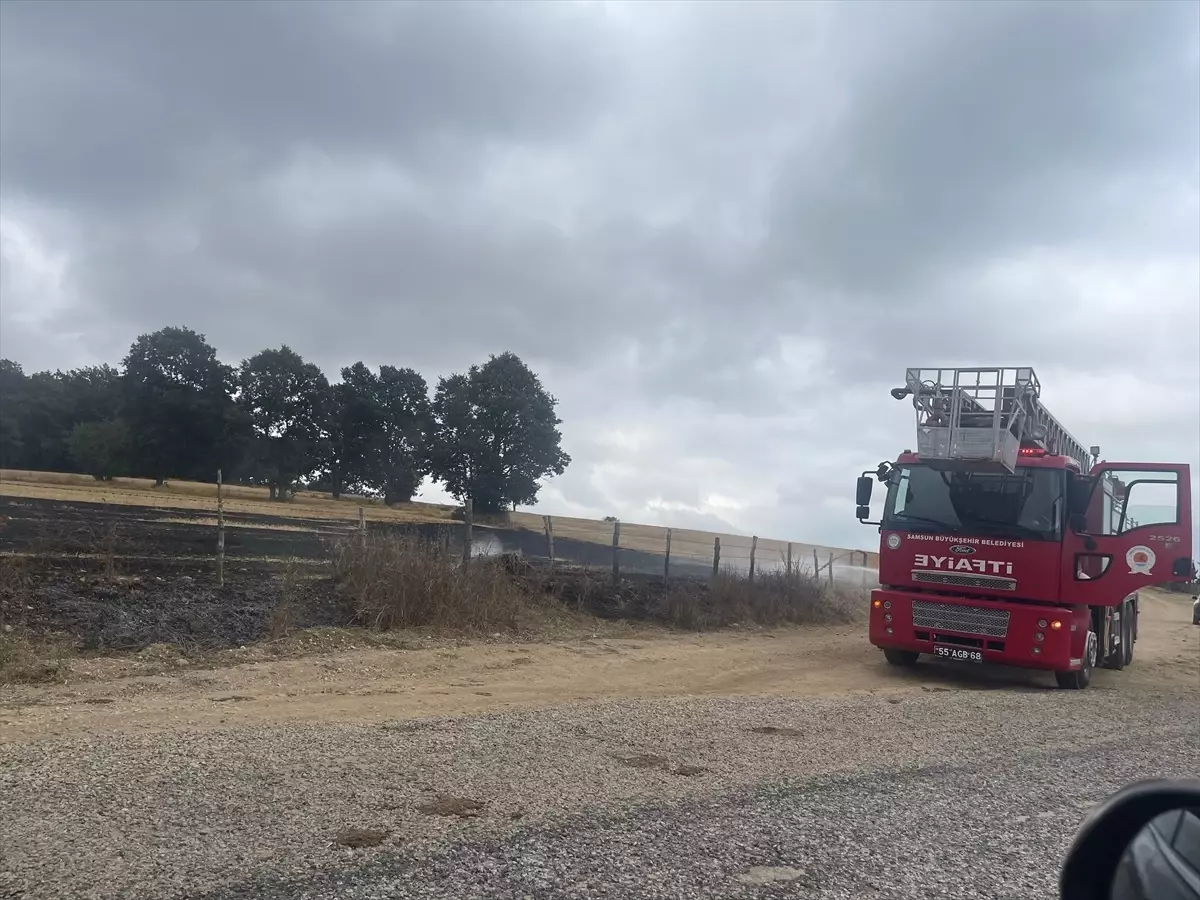 Samsun'da Anız Yangını Ormanlık Alana Ulaşmadan Söndürüldü