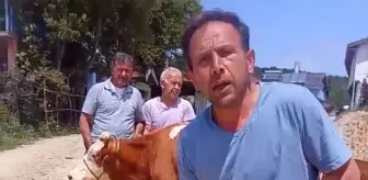 Mahalle Sakinleri Yeni Cami İçin Birlikte Hareket Ediyor