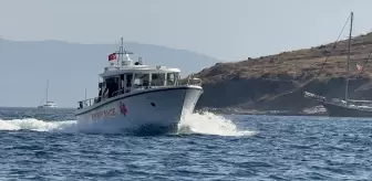 Gazeteci Hasan Cemal, Leros Adası'ndan Bodrum'a Tedavi İçin Sevk Edildi