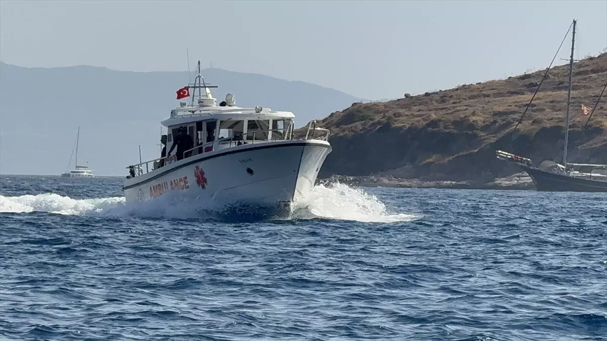 Gazeteci Hasan Cemal, Leros Adası'ndan Bodrum'a Tedavi İçin Sevk Edildi