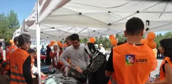LÖSEV'in 'İyilik Tırı' Mardin'e geldi