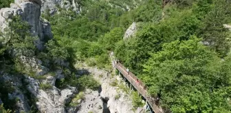 Kastamonu, Lübnanlı Seyahat Acentelerini Ağırladı