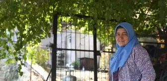 İzmir'de Yangın Müdahalesi: Komşusunun Havuzundan Su Çekerek Alevlere Direndi