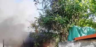 Malatya'da Yangın: Buğday Tarlası ve Ağaçlar Zarar Gördü