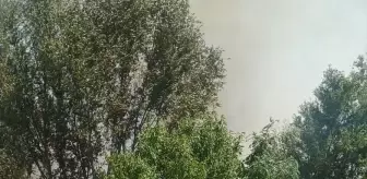 Malatya'da Orman Yangınına Müdahale Devam Ediyor