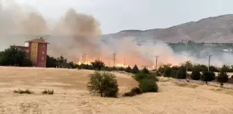 Malatya'nın Kale İlçesinde Yangın: 30 Ağaç ve 30 Dönüm Alan Zarar Gördü