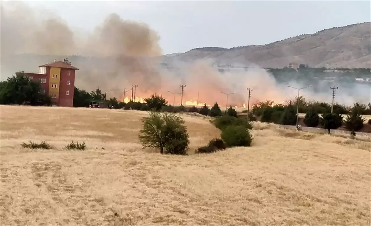 Malatya'nın Kale İlçesinde Yangın: 30 Ağaç ve 30 Dönüm Alan Zarar Gördü