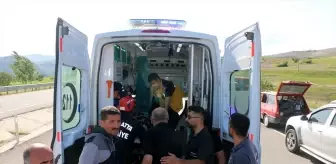 Hekimhan'da Şarampole Devrilen Otomobilde 2 Yaralı