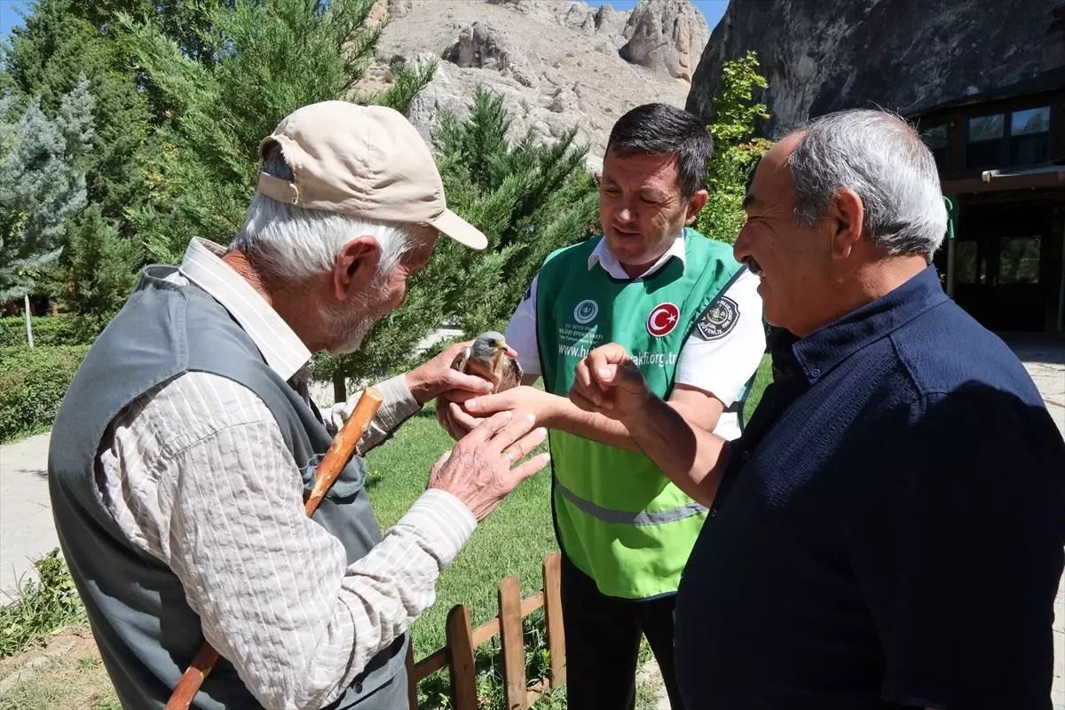 Yaralı Kerkenez Kuşu Yavrusuna Kurtarma Operasyonu
