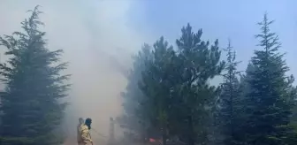 Malatya'da Orman Yangını Söndürüldü