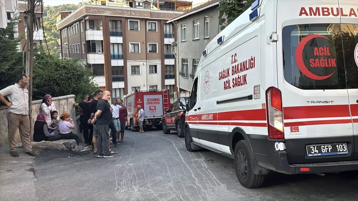Maltepe'de Kamyonet Kazasında 72 Yaşındaki Kadın Hayatını Kaybetti