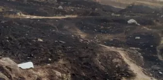 Maltepe'de Havai Fişekle Yangın Çıkaran Şüpheli Yakalandı