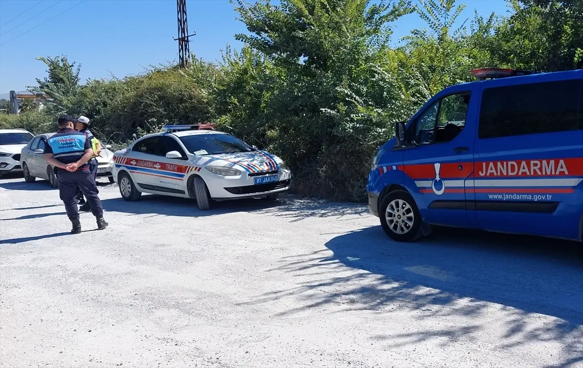 Manavgat'ta Aslan Yaralanmasına Sebep Olan Hayvan Parkı Mühürlendi